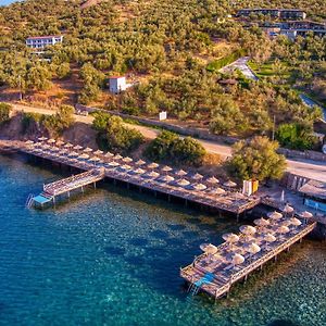 Assos Dionysos Special Class Hotel Adults Only 12 Years